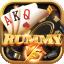 rummy gold 100